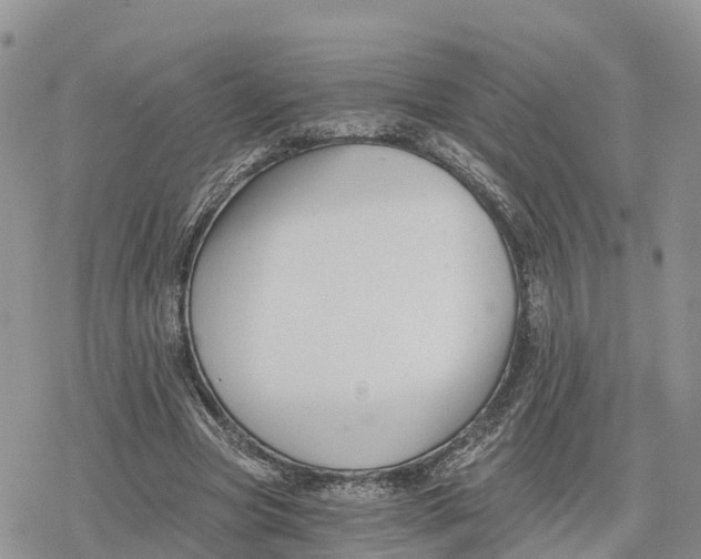 X0000078280537200611251420