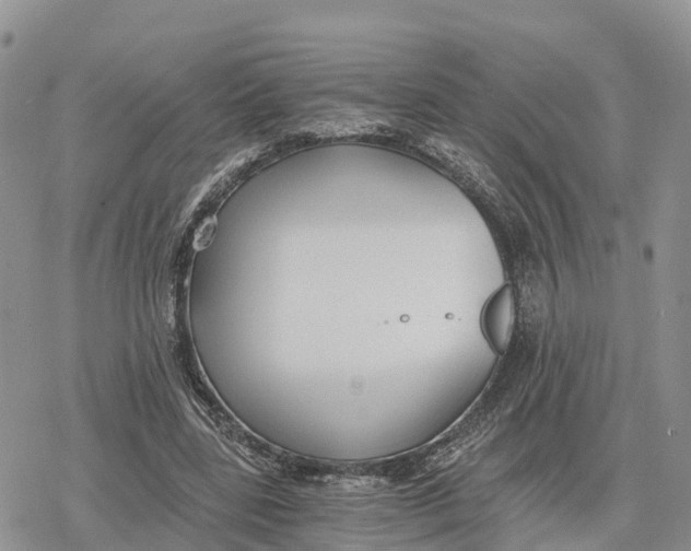 X0000078280539200611251421