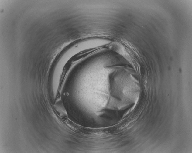 X0000078280540200611251421