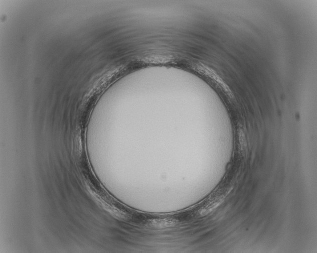 X0000078280541200611251421