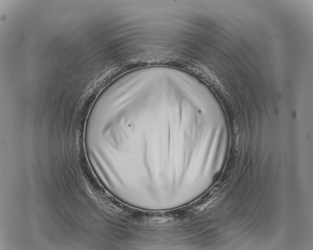 X0000078280542200611251421