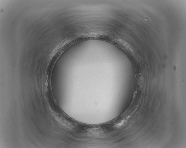 X0000078280544200611251421