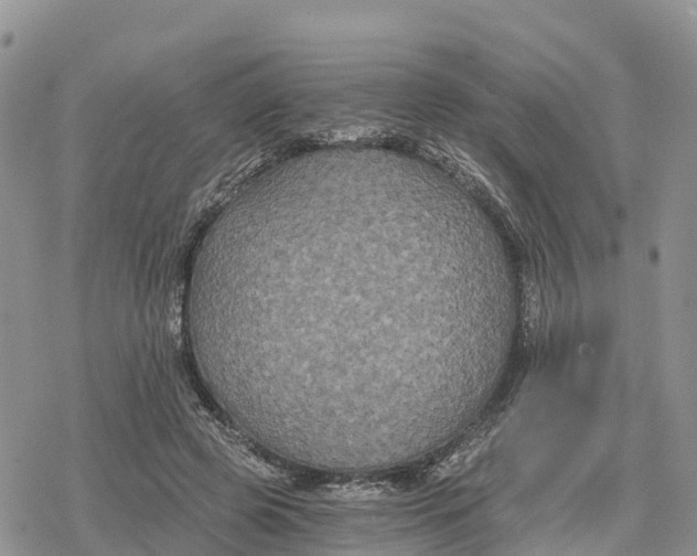 X0000078280545200611251421