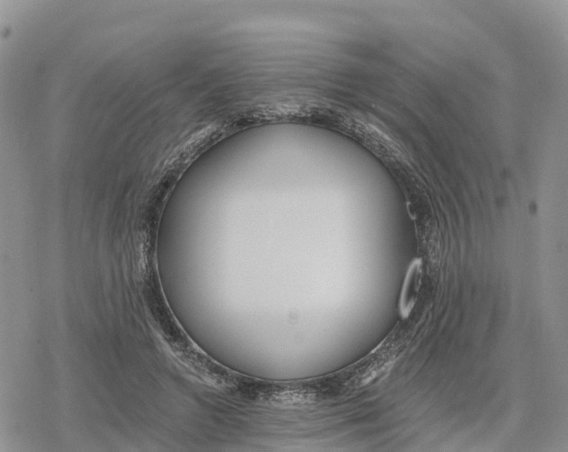 X0000078280546200611251421