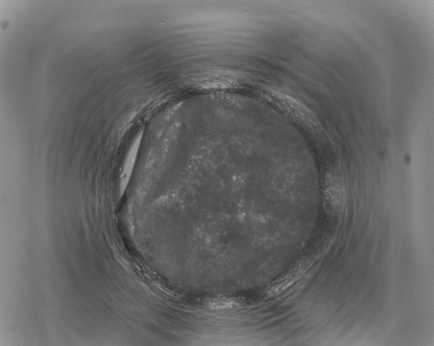 X0000078280547200611251421