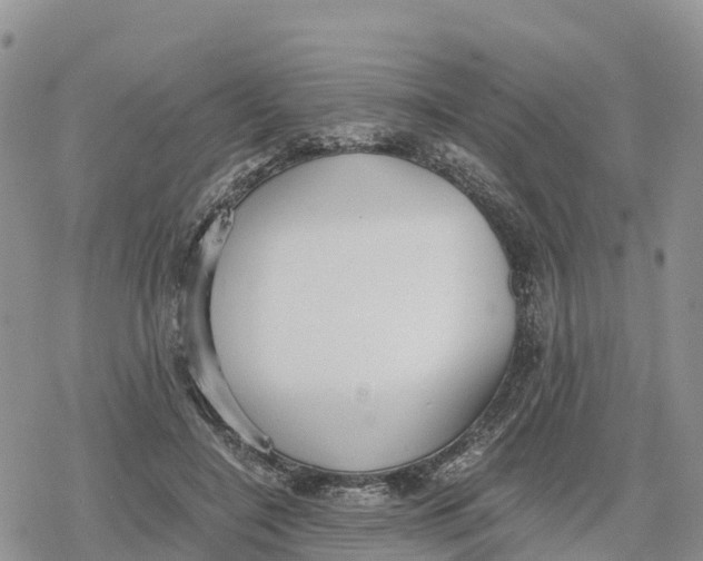 X0000078280548200611251421