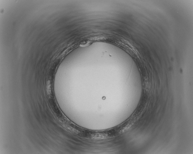 X0000078280549200611251421