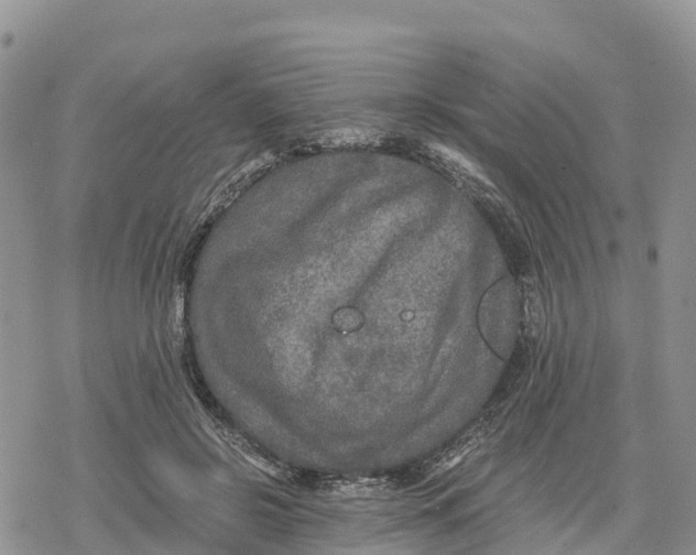 X0000078280550200611251421