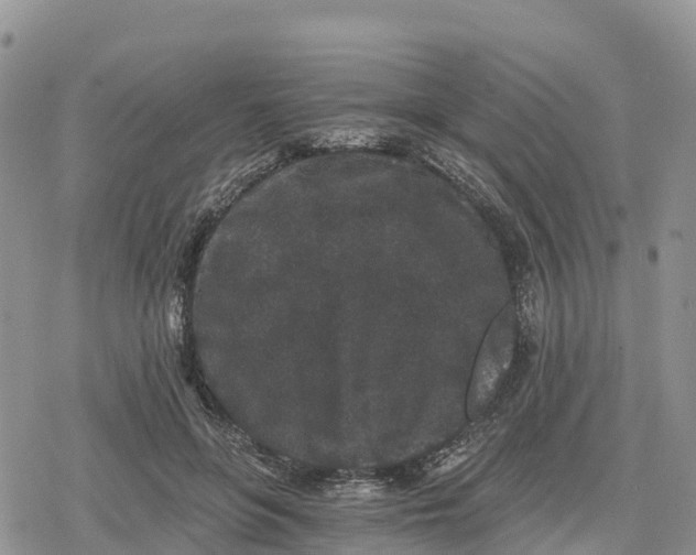 X0000078280551200611251421