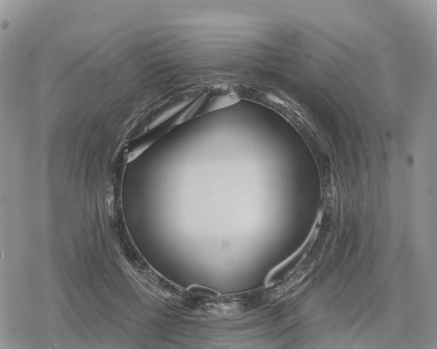 X0000078280552200611251421