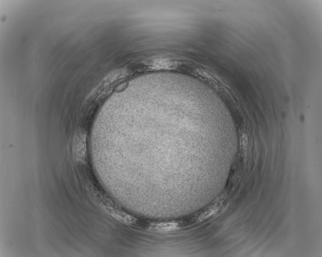 X0000078280554200611251421