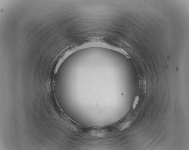 X0000078280556200611251421