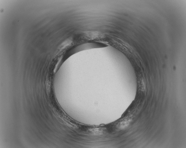 X0000078280558200611251421