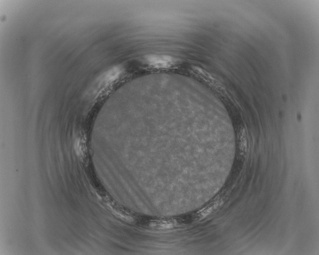 X0000078280559200611251421