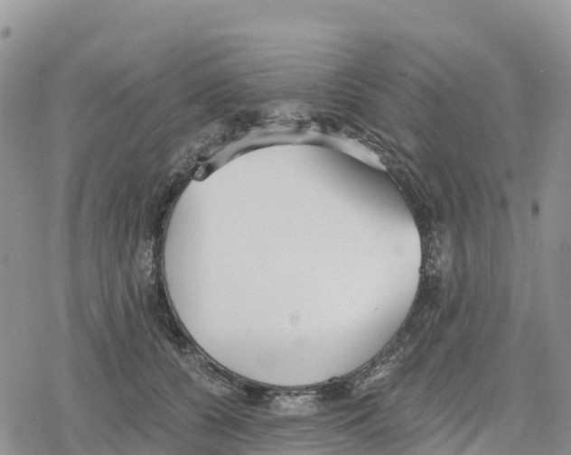 X0000078280560200611251421