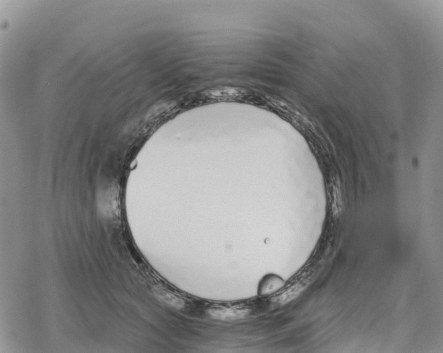 X0000078280561200611251421