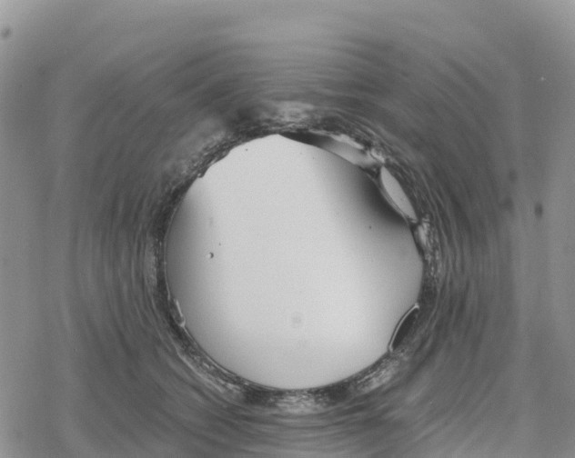 X0000078280562200611251421