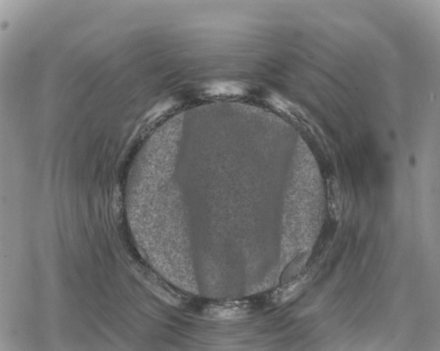 X0000078280563200611251421