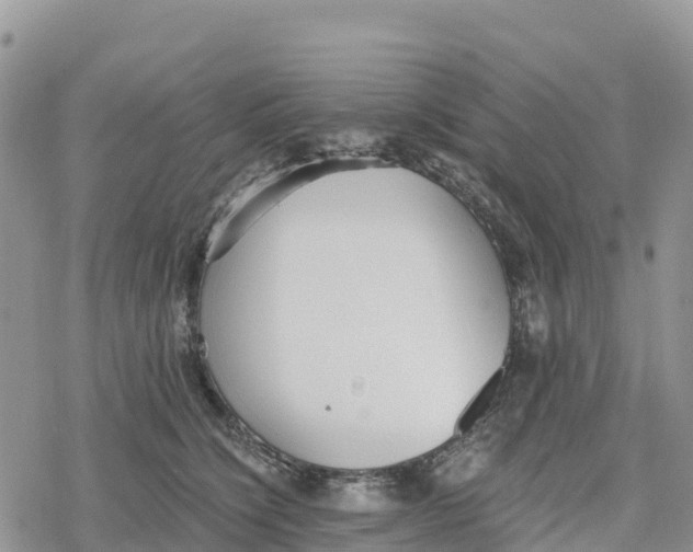 X0000078280564200611251421