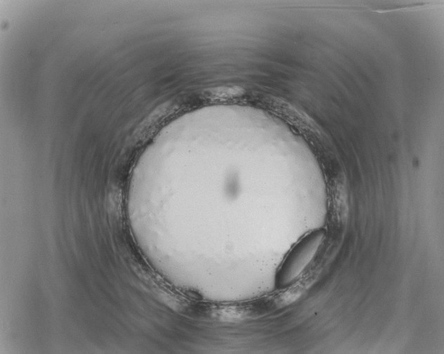 X0000078280565200611251421