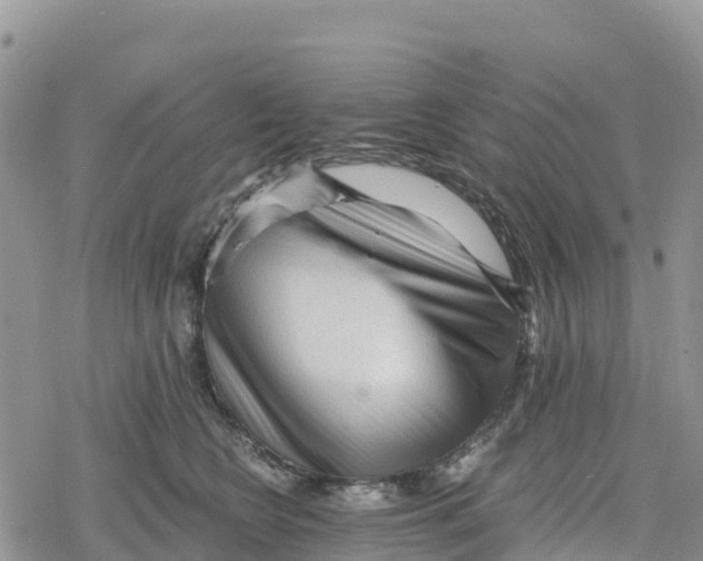 X0000078280566200611251421