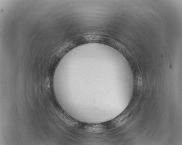 X0000078280567200611251421