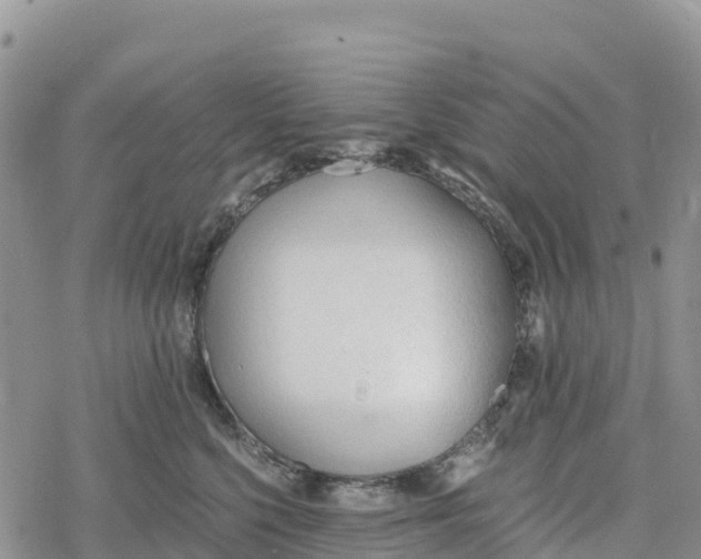 X0000078280568200611251421