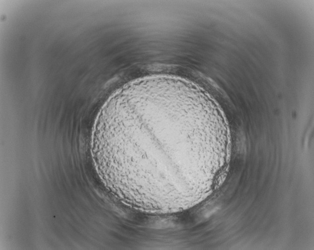 X0000078280569200611251421