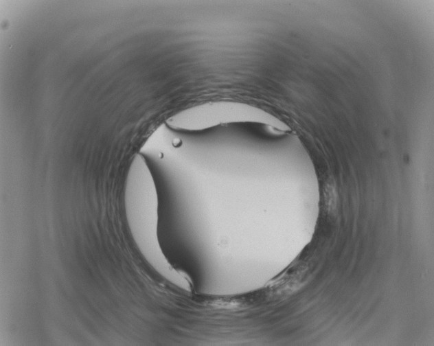 X0000078280570200611251421