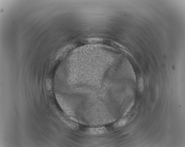 X0000078280571200611251421