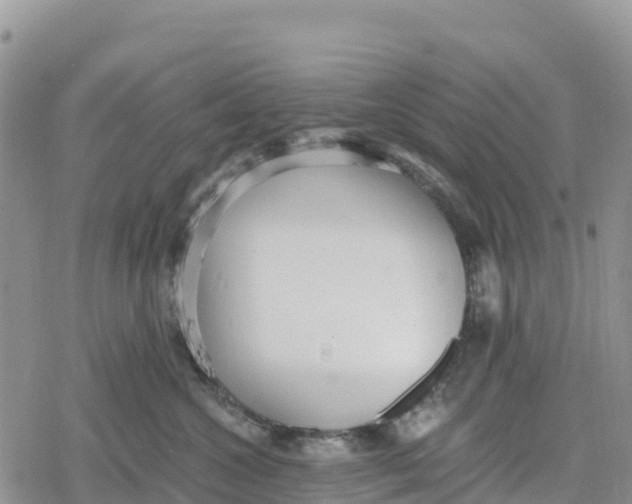 X0000078280572200611251421