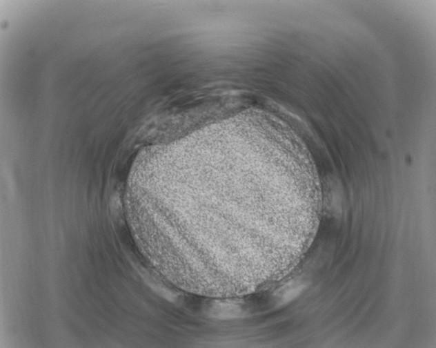 X0000078280573200611251421