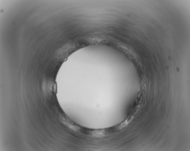 X0000078280574200611251421