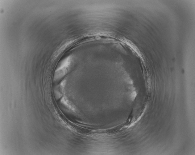 X0000078280577200611251420