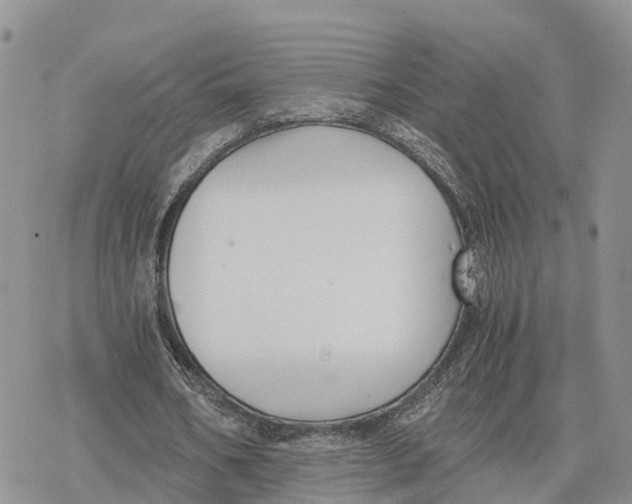 X0000078280578200611251420