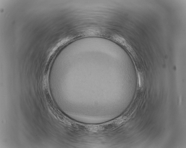 X0000078280579200611251420