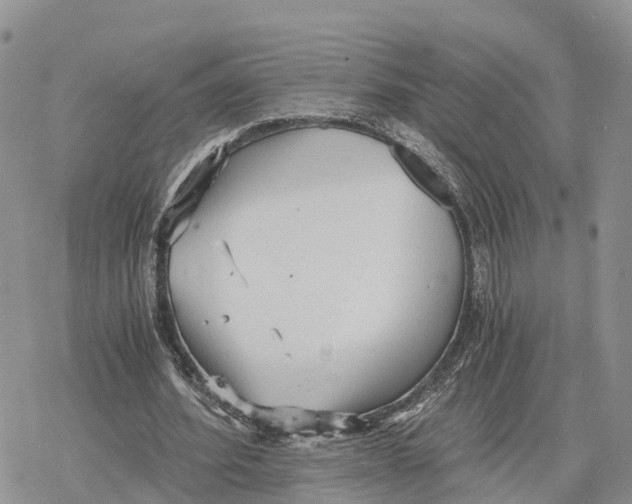 X0000078280580200611251420