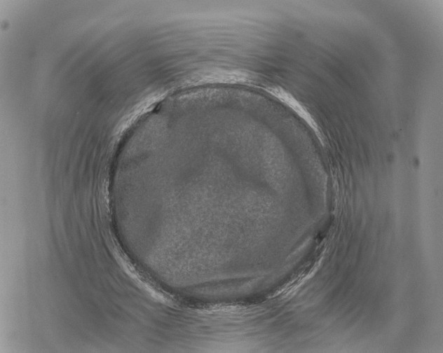 X0000078280581200611251420