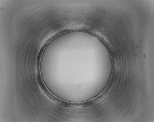 X0000078280582200611251420