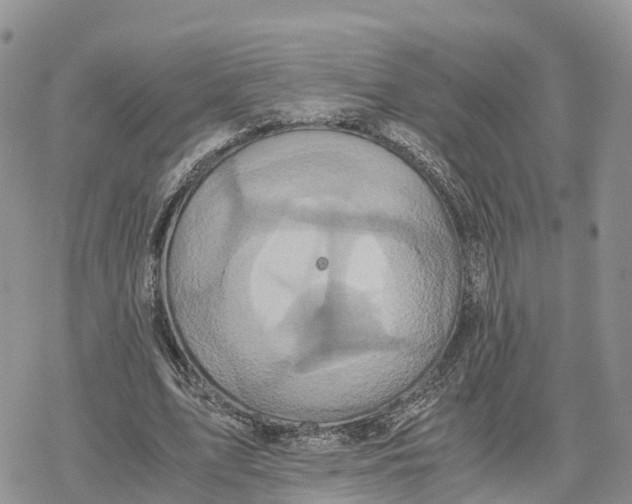 X0000078280583200611251420