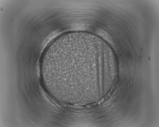 X0000078280584200611251420