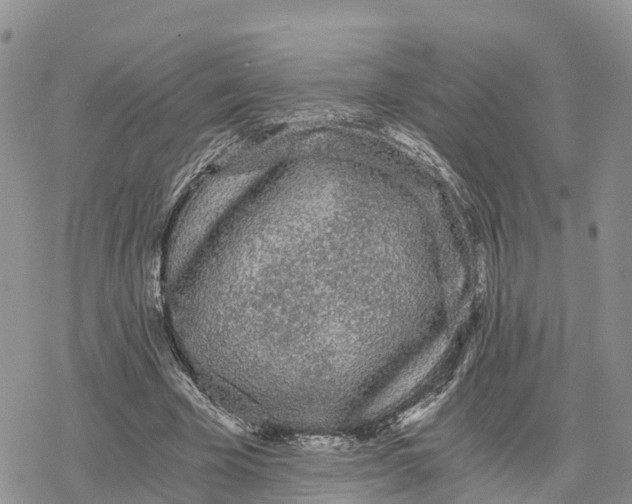 X0000078280585200611251420