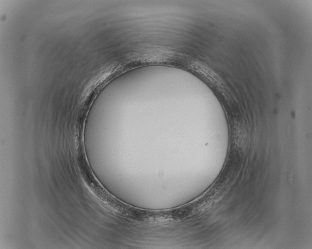 X0000078280586200611251420