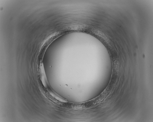 X0000078280587200611251420