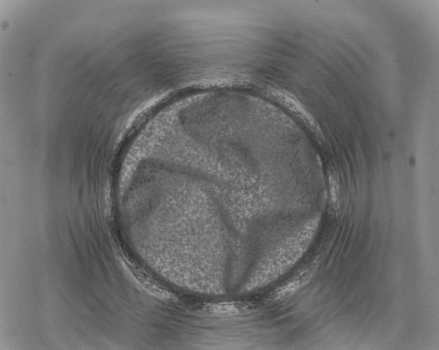 X0000078280588200611251420