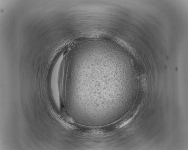 X0000078280589200611251420