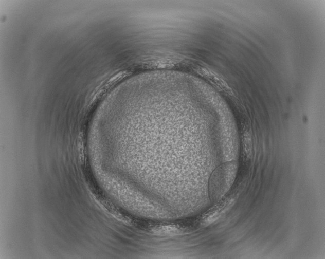 X0000078280594200611251420