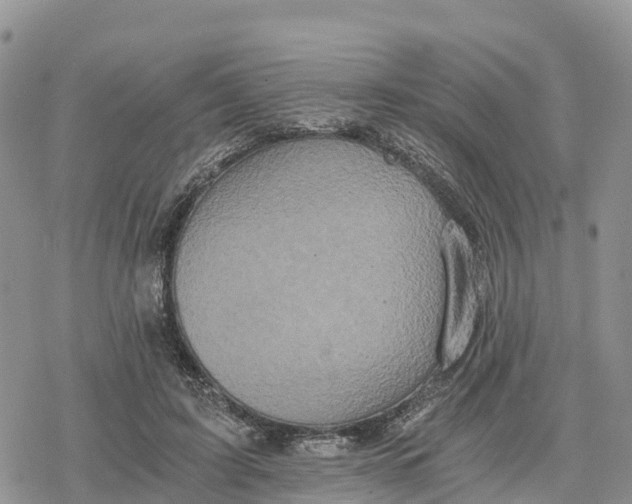 X0000078280595200611251420