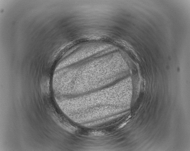 X0000078280596200611251420