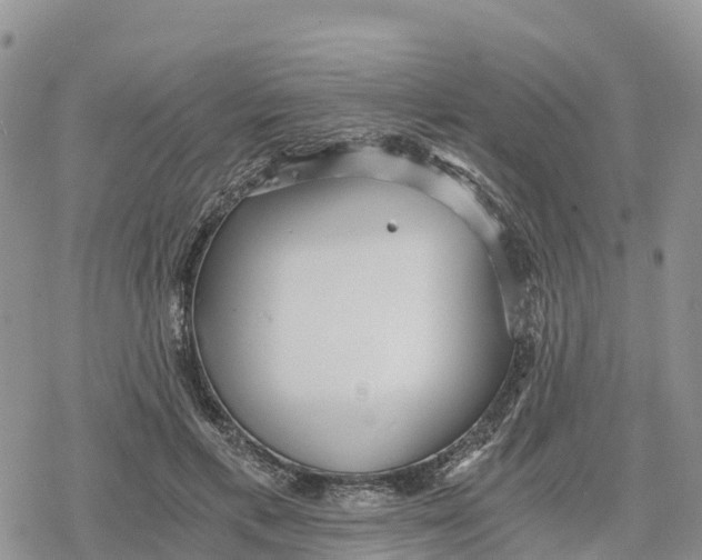 X0000078280597200611251420